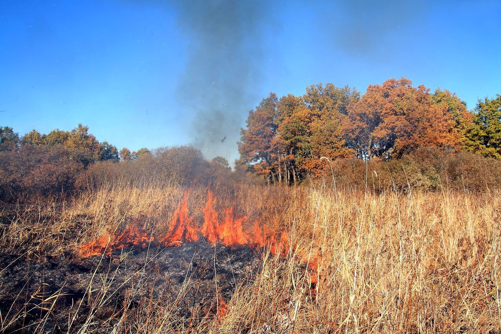 Broei risico's: brand