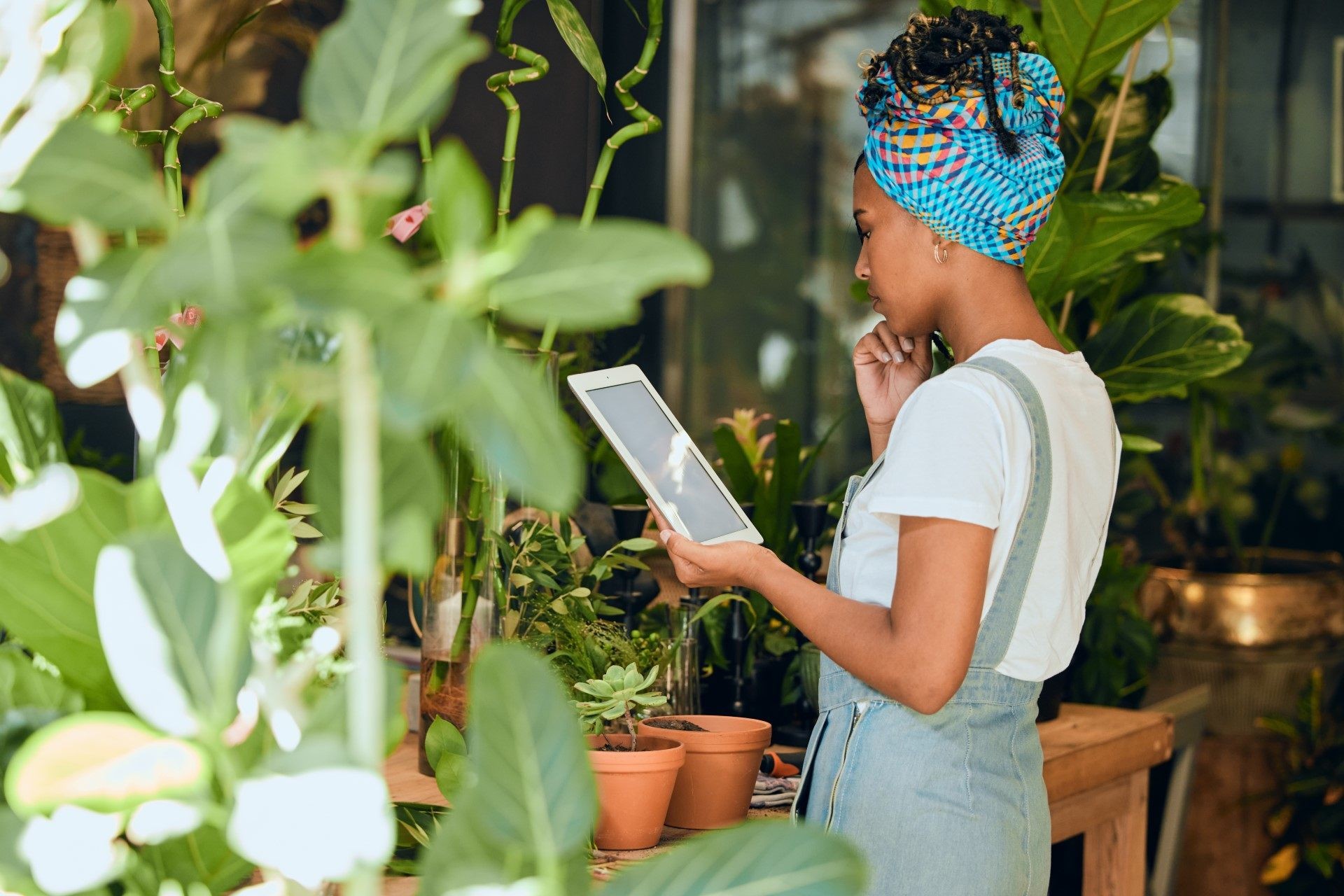 Risico's van de lente