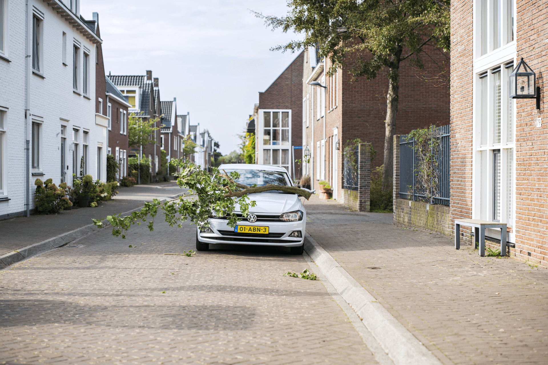 Een auto waarop een grote tak is gevallen