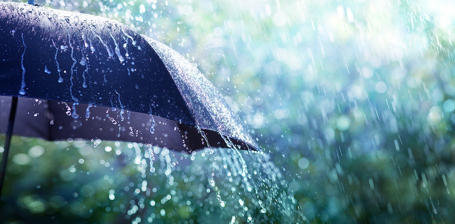 Zware regenbuien voorspeld | ABN AMRO Verzekeringen