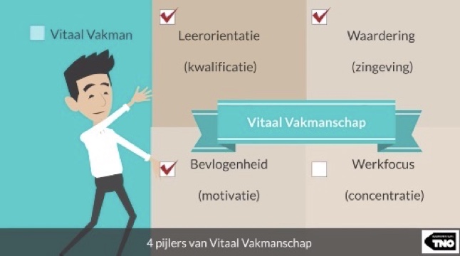 Vier pijlers van Vitaal Vakmanschap